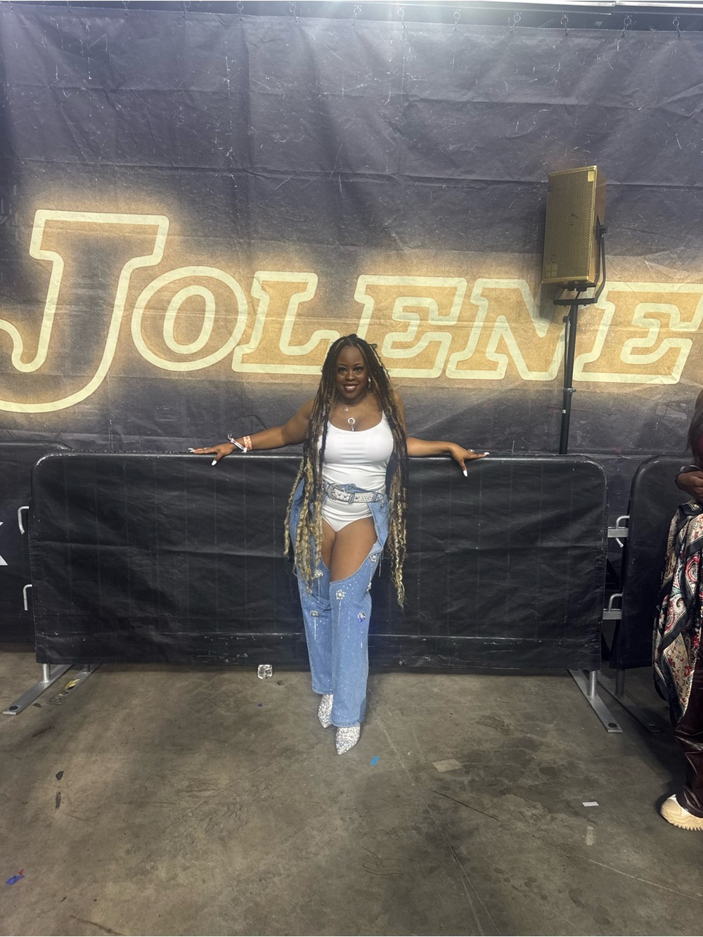 Embellished Denim chaps with matching top and belt. Each worn once.